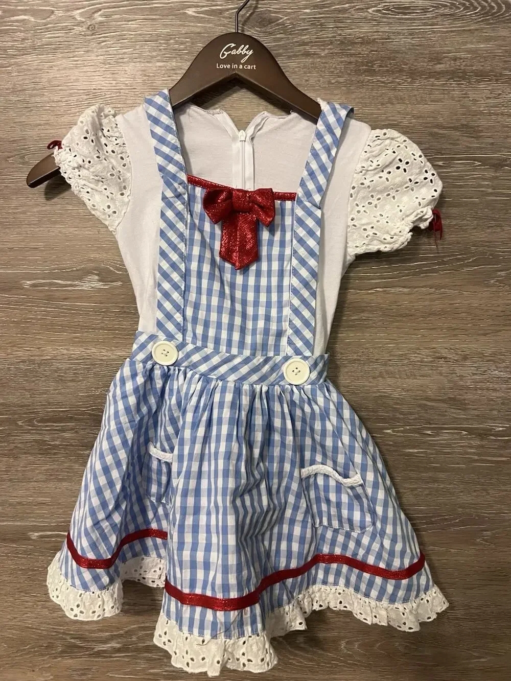 Wizard of Oz Dorothy Dress Child’s Small Costume Homemade Halloween Sz 3T